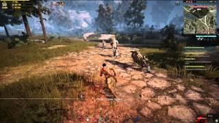 Black Desert проклятые подопытные