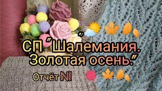 Вязание. СП "ШАЛЕМАНИЯ. ЗОЛОТАЯ ОСЕНЬ". Готовая работа и продвижение процесса. Обзор. Отчет№1.