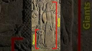 HOW Ancient Sumerians Knew the Solar System? #history #joerogan