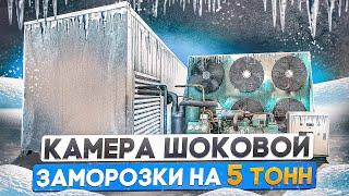 Морозильная камера шоковой заморозки на 6 тонн продукции