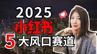 2025年小红书5大风口赛道，创业和搞钱机会在哪里？