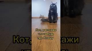 Ксюша и рассказ о ней #котики #коты #животные #факты