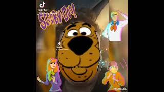 #scoobydoo #funny videos #scoobydoofans #stoners