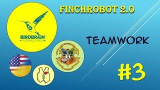 #3 Teamwork (FinchRobot 2.0)