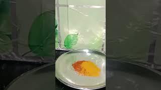 Masala baigan #Shorts#supriyasahuvlogs#recipe