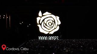 10,000 Roses