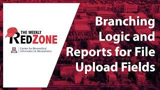 REDZone - Branching Logic and Reports for File Upload Fields