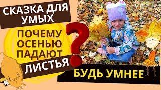 Почему осенью листья опадают? Сказка ПРО ОСЕНЬ и про то, почему осенью листья желтеют и опадают