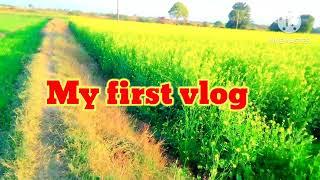 My first vlog 