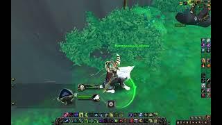 Благодарственный дар. World of Warcraft Shadowlands. 9.2