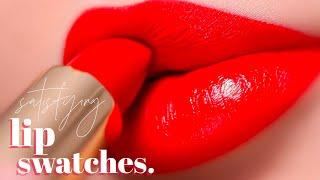 SATISFYING LIP SWATCHES | Ashley Rosales