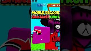 WORLD RECORD Smallest Fruit in Grow a Garden!! (Roblox)