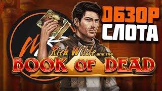 ОБЗОР СЛОТА BOOK OF DEAD // ЕГИПЕТСКИЙ ПРОВАЛ // 1XSLOTS