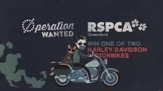 Operation Wanted- An initiative of RSPCA Qld