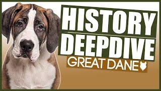 GREAT DANE HISTORY DEEPDIVE