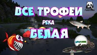 РУССКАЯ РЫБАЛКА 4 (RUSSIAN FISHING 4) - ВСЕ ТРОФЕИ РЕКА БЕЛАЯ. ПОЧЁТНЫЙ РЫБОЛОВ.