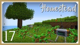 Minecraft Homestead Modpack | Steve's Carts 2 Auto Tree Farm! | E17 Hardcore Survival 1.10 Lets Play