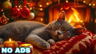 Music for cats with anxiety  Cat's favorite music no ads  Cat sleep music, Cozy christmas ambience