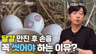 계란 만진 후 손을 꼭 씻어야 하는 이유! 음식점 살모넬라 식중독 예방요령은?