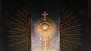 Experiencing the Miraculous Power of the Eucharist