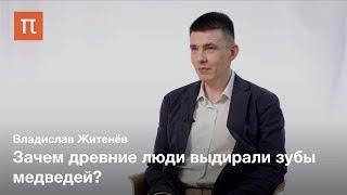 Культ медведя в палеолите — Владислав Житенёв