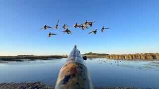 Duck Hunting Opening Day 2024! (Mallards, Gadwall, and Teal)