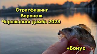 Рыбалка на  Воронежском водохранилище. Не за рыбой, а удовольствием! (Воронеж, Микроджиг, Фарио)