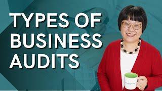 Small Business Audits