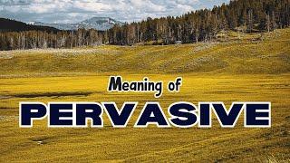 What is the meaning of Pervasive?