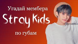 Угадай мембера Stray kids по губам