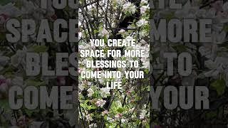 Appreciate Life #blessed #grateful #godisgood #appreciatinglife