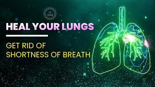 Heal Your Lungs - Get Rid Of Shortness Of Breath, Coughing, Allergies, Infections & Fatigue - 528 Hz