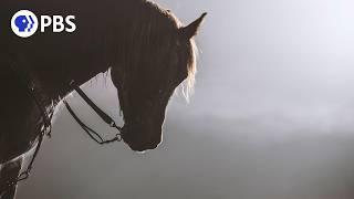 Equus "Story of the Horse:" Chasing the Wind | PBS Nature Documentary