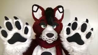 "Follow my paws"~ | Fursuit ASMR, Paw Meditation, Relaxation, Affirmation
