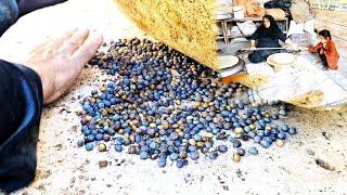 Grandma baking local bread for the shopkeeper's house and making food with mountain pistachios