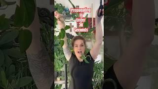 Propagating plants is SO simple! ️