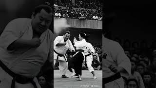 A Beautiful Karate Woman Fights a Massive Sumo Wrestler | Retro AI Battle