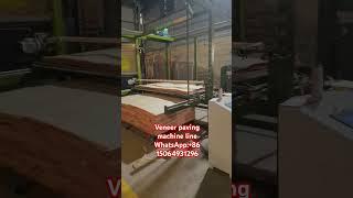 Geelong veneer paving machine line WhatsApp:+86 15064931296 #plywoodmachine