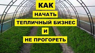 С чего начать тепличный бизнес? Что выращивать и как не прогореть?