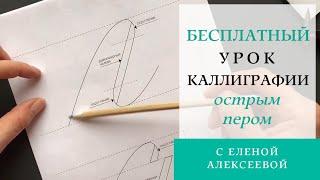 БЕСПЛАТНЫЙ урок по каллиграфии для начинающих острым пером. Подписываем открытку!