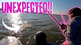 NON STOP Catfishing ACTION...But The RIGHT Fish?? (Wicked Whiskers Swanson Tournament) Part 1