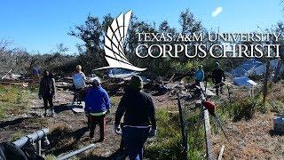 Texas A&M University-Corpus Christi Alternative Winter Break