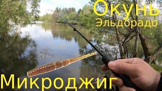 ОКУНЬ НА МИКРОДЖИГ В МАЕ / Рыбалка на ультралайт