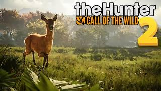 The Hunter: Call of the Wild 2 – Is It Time for a Sequel?