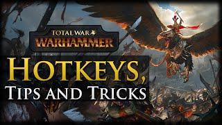Hotkeys, Tips and Tricks - Total War: Warhammer Gameplay