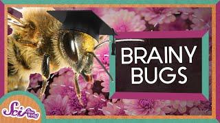 Can Bugs Think? | Storytime: Charles Henry Turner | SciShowKids