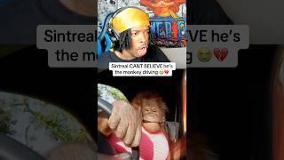 Sintreal Claims He’s The Monkey Driving