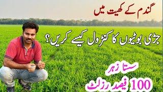 Tri ultra - a cost effective Wheat herbicide to control all weeds in wheat field | Abid Ali Agrarian