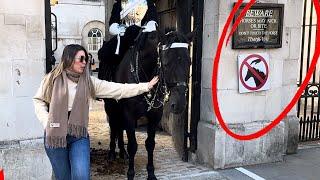 (Shocking) Tourist Deliberately Goading King's Horse into B!ting Him