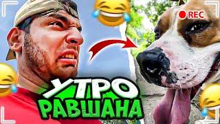 УТРО РАВШАНА! ПРОГУЛКА С ДЖОРДАНОМ | РАВШАН ИРЛ СТРИМ